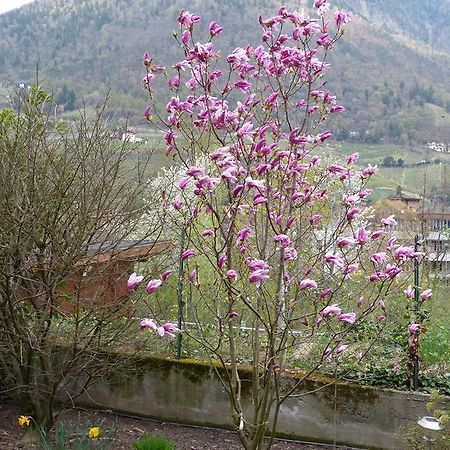 Haus Christl Bed & Breakfast Lana Bagian luar foto